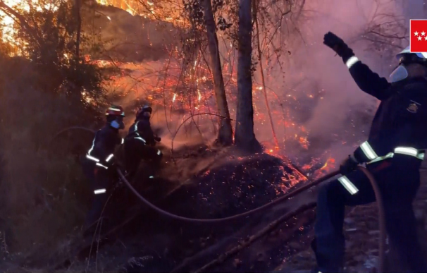 Los bomberos trabajan en el incendio del pantano San Juan.