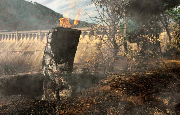 Medios aéreos y terrestres trabajan en la extinción del incendio declarado el viernes en la localidad abulense de El Tiemblo.