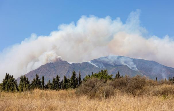 Columna de humo del incendio de Sierra Bermeja, desde el puesto de mando avanzado.