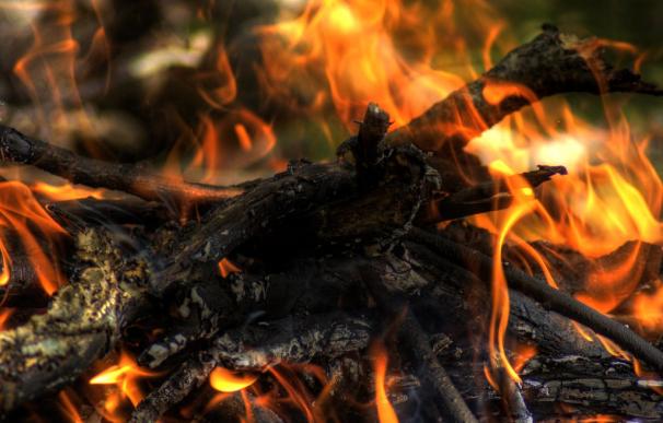 EL fuego permite cocinar los alimentos para una mejor absorción de los nutrientes.