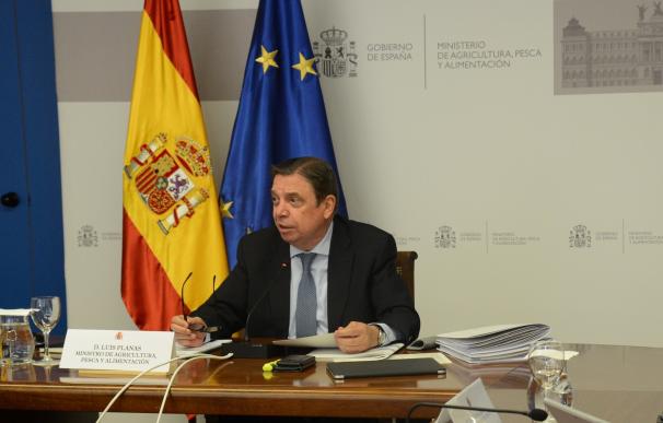 El ministro de Agricultura, Pesca y Alimentación, Luis Planas
MAPA
(Foto de ARCHIVO)
20/5/2021