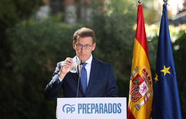 El presidente del PP, Alberto Núñez Feijóo.