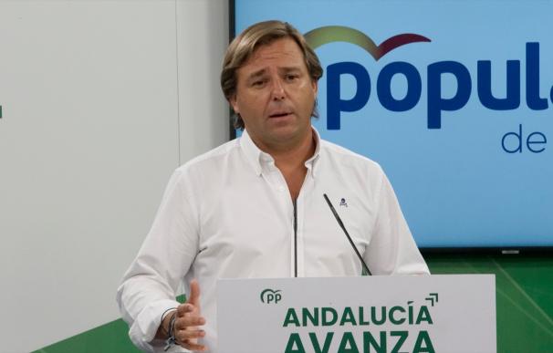 El nuevo secretario general del PP de Andalucía, Antonio Repullo, este martes PP DE ANDALUCÍA 06/9/2022