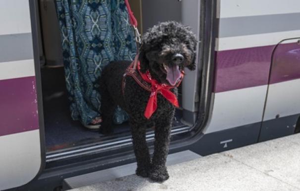 Un perro en un tren.