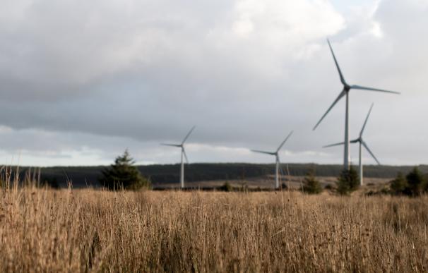 Transición Ecológica propone recortar un 13% la retribución a las renovables.