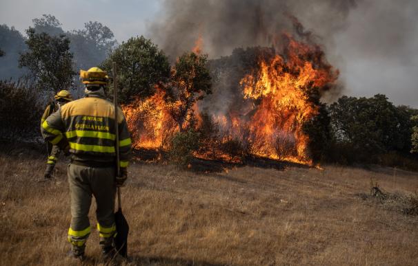 España registra pérdidas de 300.000 hectáreas afectadas por los incendios