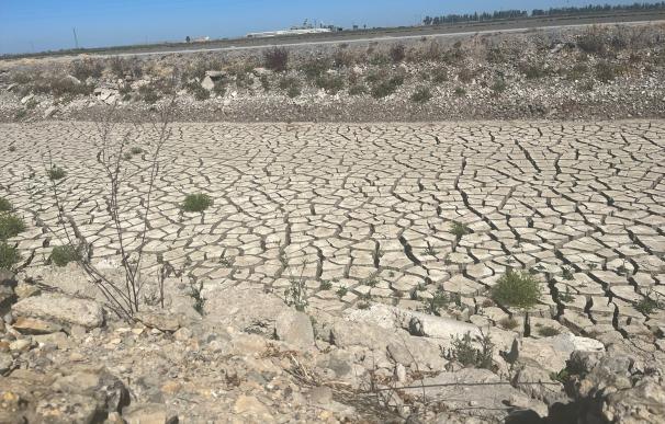 Los agricultores pedirán medidas fiscales y mejores seguros para afrontar la sequía