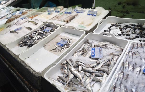 La pesca se une para exigir el 0% de IVA para los productos pesqueros en el 28-M