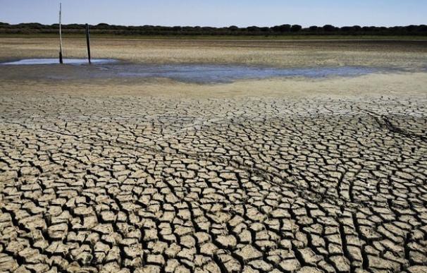 Agroseguro prevé un nuevo récord para las indemnizaciones por la sequía en 2023