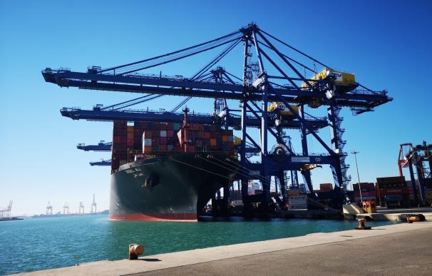 España afianza una base de más de 55.000 exportadores regulares