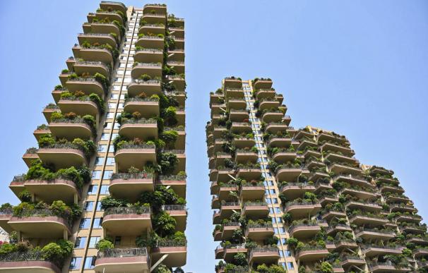 Proyecto de vivienda de 'bosque vertical' en China.