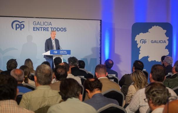 El presidente del Partido Popular de Galicia, Alfonso Rueda