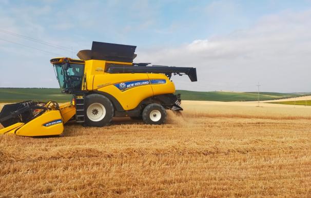 Rusia amaga con no renovar el corredor del grano ucraniano a días de su caducidad