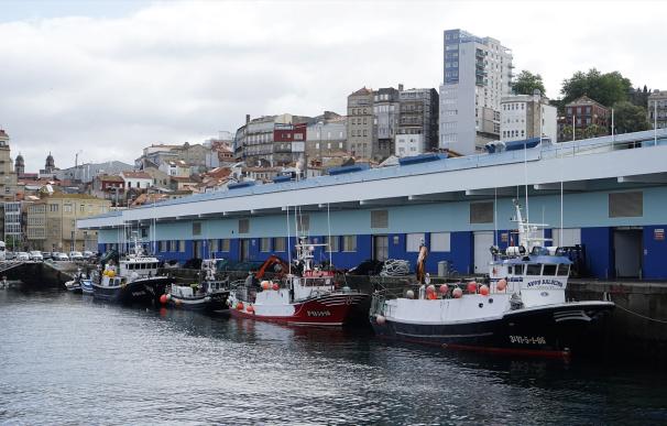 La pesca pide flexibilidad en las ayudas a los buques que faenan en Marruecos