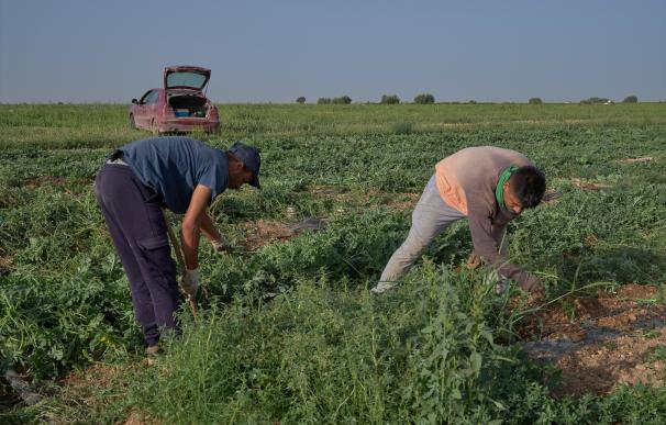 BBVA anuncia un préstamo a 6 años para agricultores afectados por la sequía