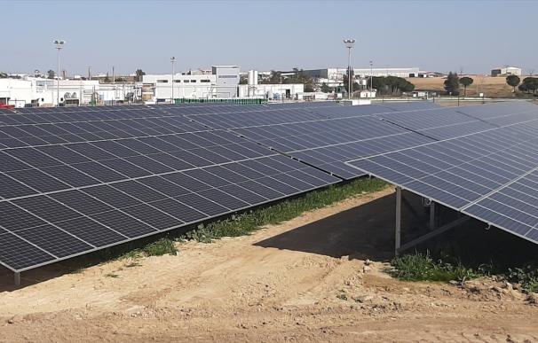 EDPR inaugura un parque fotovoltaico híbrido de 45 MW en Konary, Polonia