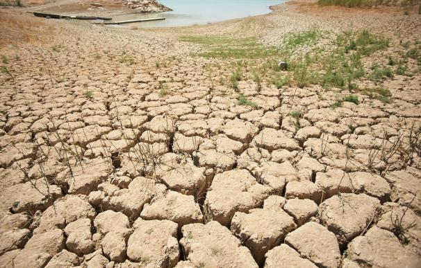 La intensificación de la sequía vuelve a abrir el debate sobre la gestión del agua