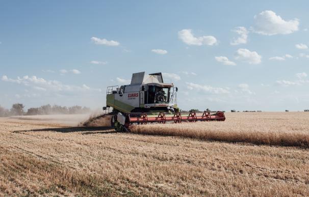 Ucrania exige el fin del veto a las importaciones del cereal en países del este