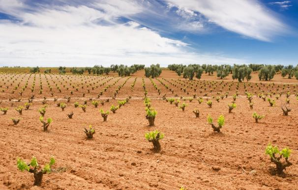 La agricultura sostenible para hacer frente a los estragos de DANAs y sequías