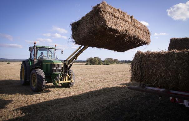 La CNMC investiga un posible cártel de venta de maquinaria agrícola