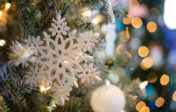 El precio de la luz: ¿cuánto cuesta encender el árbol esta Navidad?