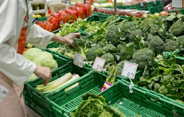 El sector agroalimentario aguarda en vilo el nuevo reglamento al plásticos en la UE