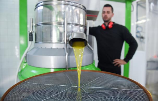 El 'rally' de precios del aceite de oliva merma sus ventas hasta un 32,66%