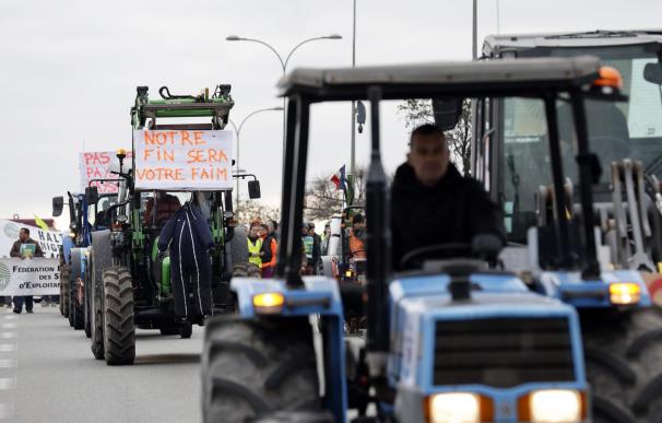 Los exportadores de frutas avisan contra ataques a camiones españoles en Francia