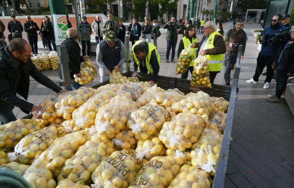 Agriculores de la provincia se concentran y protestan por precios injustos de ventas de los limones.
