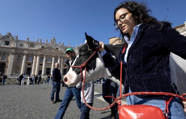 Los agricultores llegan al Vaticano con una vaca y le regalan un tractor al papa
