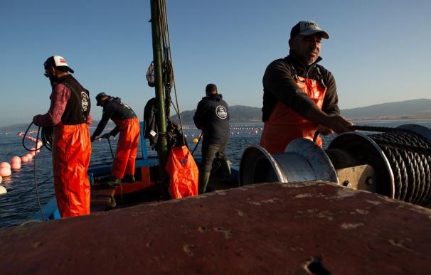 El sector pesquero pide a Defensa que prorrogue un año la 'Operación Atalanta'