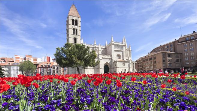 La Parroquia Santa María de la Antigua se erige imponente en la ciudad, un lugar lleno de historia.