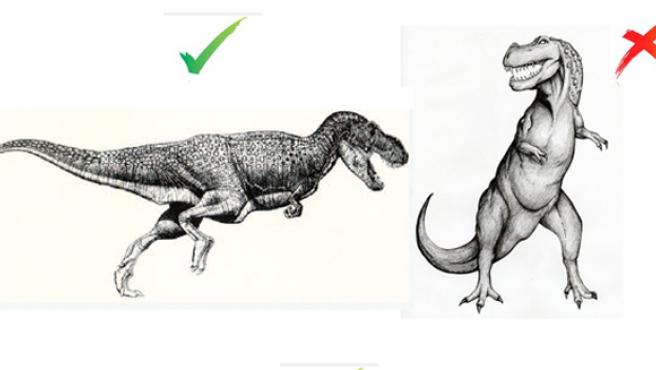 Seguro que sabes dibujar un Tiranosaurio rex correctamente?