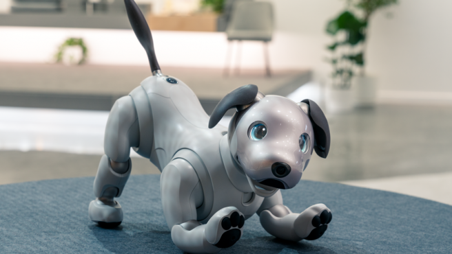 Sony lanzará su perro robot Aibo fuera de Japón, pero a un precio con  pedigrí - Meristation