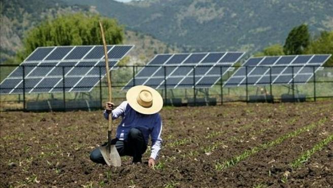 La fotovoltaica 'recalienta' el y multiplica por cuatro las rentas agrarias
