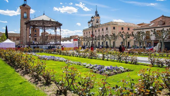 Esta ciudad perteneciente a la Comunidad de Madrid puedes encontrar una numerosa oferta cultural y rincones emblemáticos como su universidad.