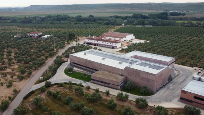 La sede de Aires de Jaén, rodeada de hectáreas de olivares.