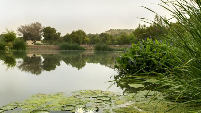 Parque El Recorral en Rojales (Alicante), ejemplo de infraestructura verde urbana.