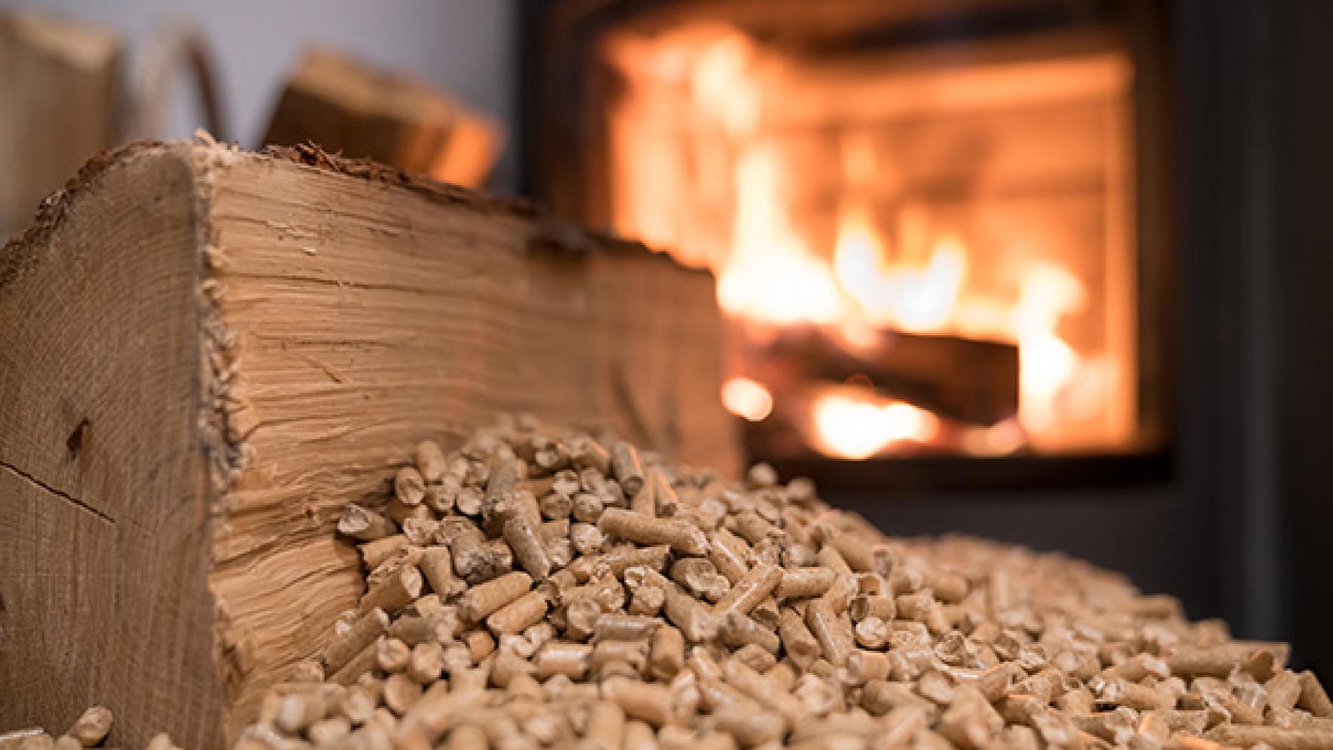 Seis tipos de estufas de pellets: ¿con cuál se ahorra más en calefacción?