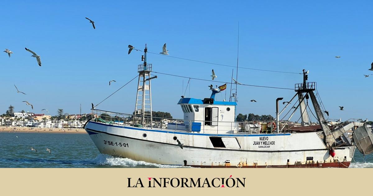 Wszystkie europejskie rybołówstwa jednoczą się przeciwko Brukseli w sprawie zakazu połowów włokami
