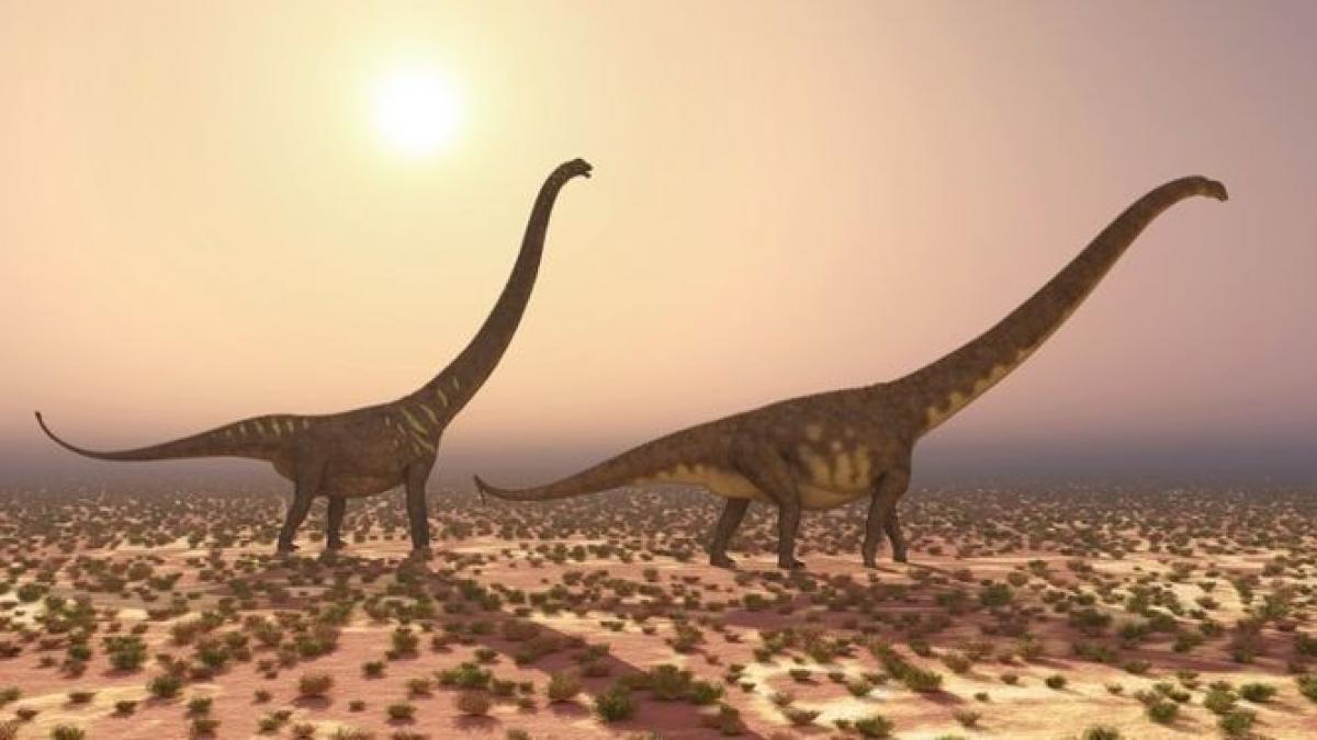 La extinción de los dinosaurios podría haber sido más lenta de lo que se  cree