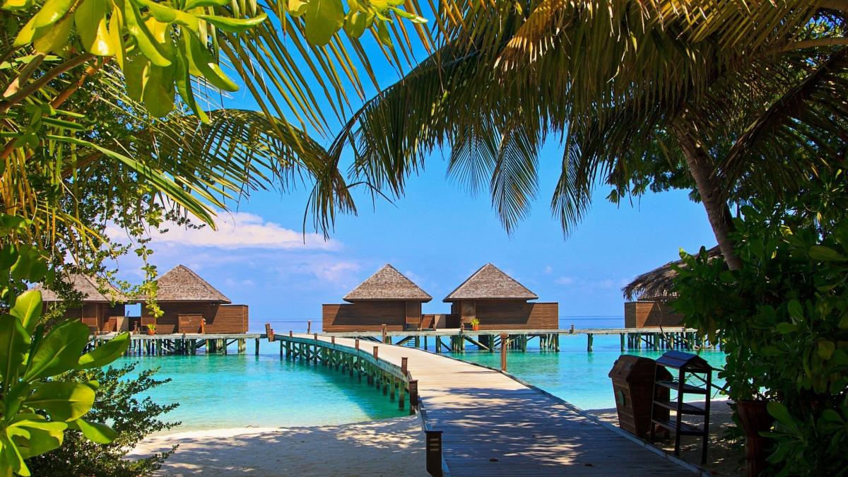 Viajar a las Maldivas por menos de 750 euros: una semana de lujo en las  islas
