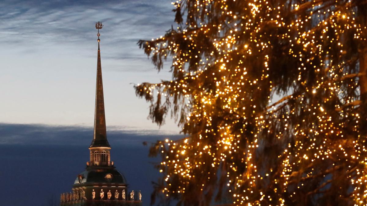 El precio de la luz: ¿Cuánto costará poner el árbol esta Navidad?